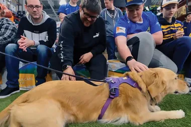 Dog training tips for beginners