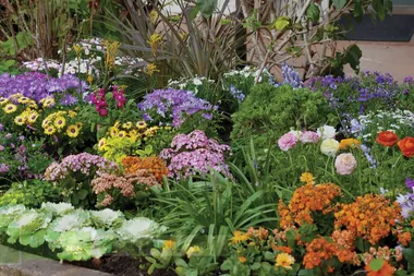 Graham’s favourite spring flowers