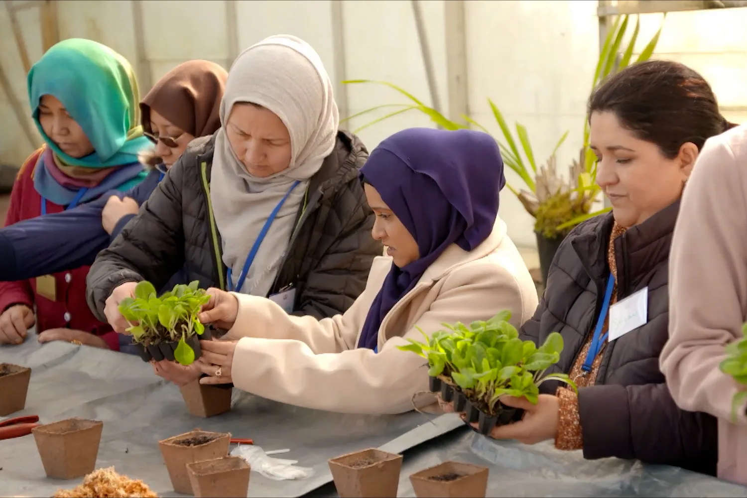 Joh visits the Peace and Prosperity Kitchen Garden Program