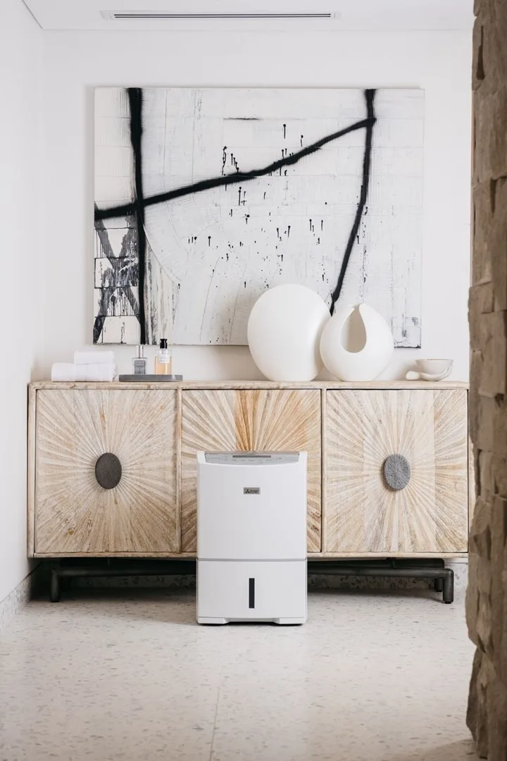 best dehumidifiers to reduce humidity
