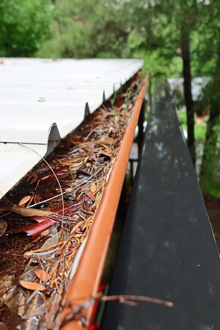prepare for la nina cleaning gutters