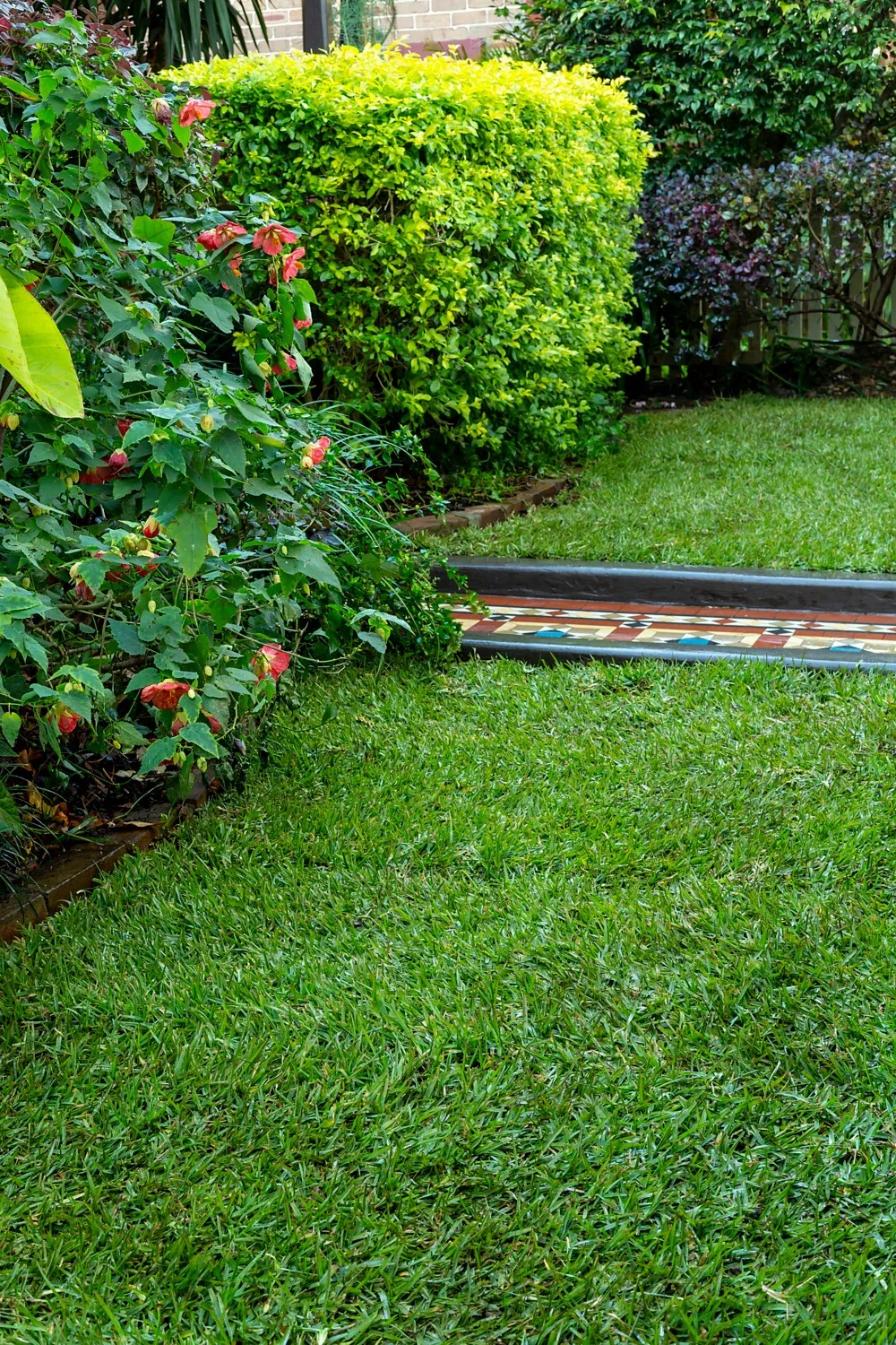 prepare lawn for rain