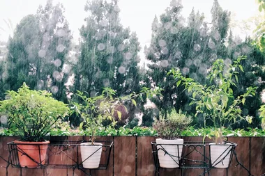 How to prepare your home and garden for a third La Niña