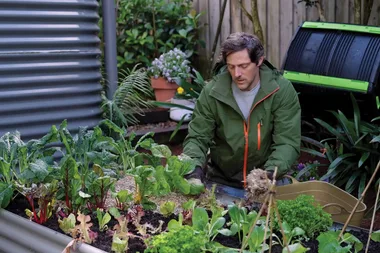 How to start an eco-garden and live more sustainably