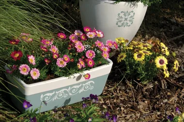 How to pretty up your flowerpots