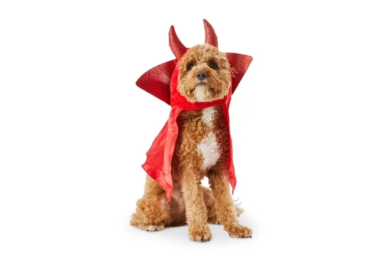 petbarn halloween costume dog devil
