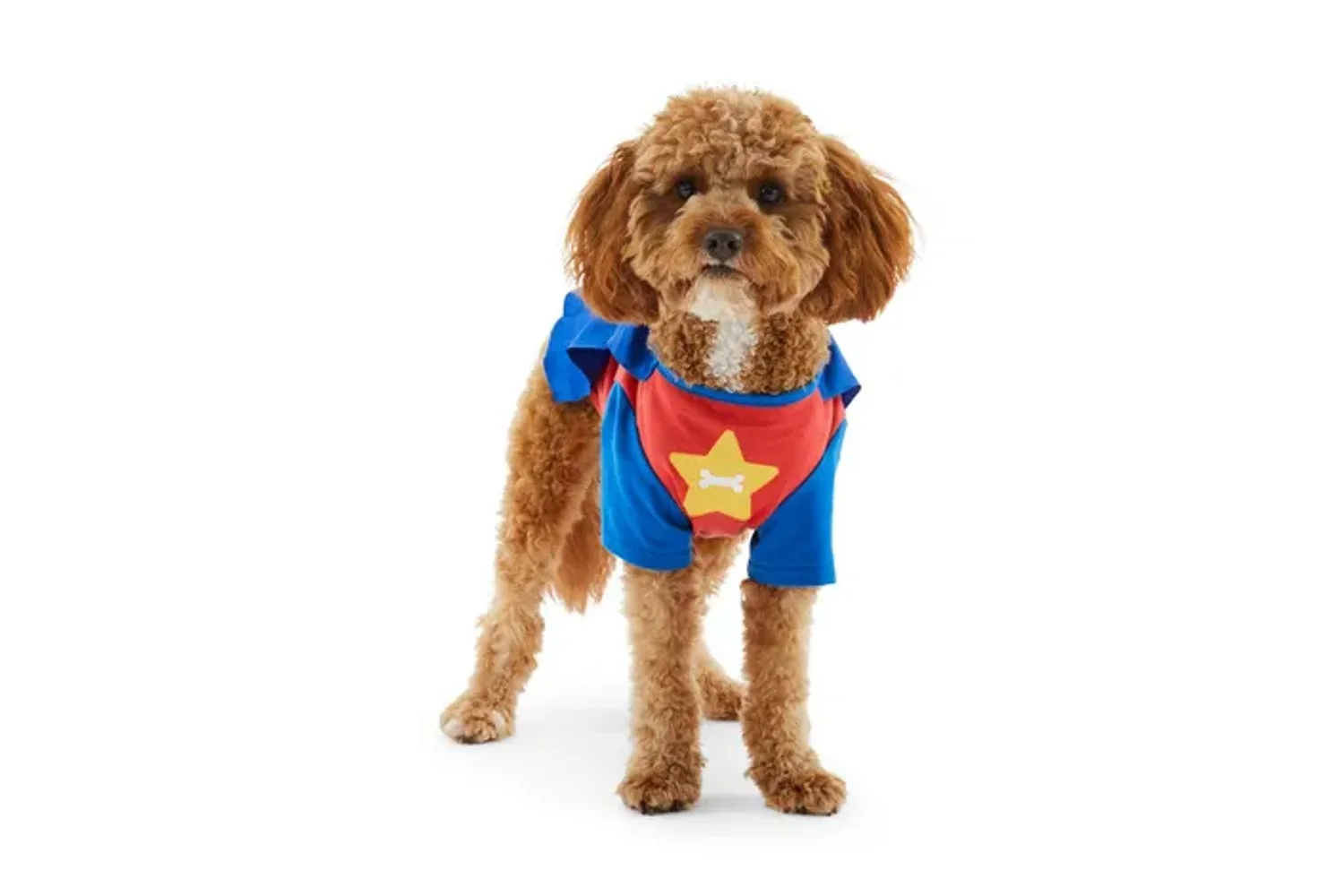 Halloween costumes for pets