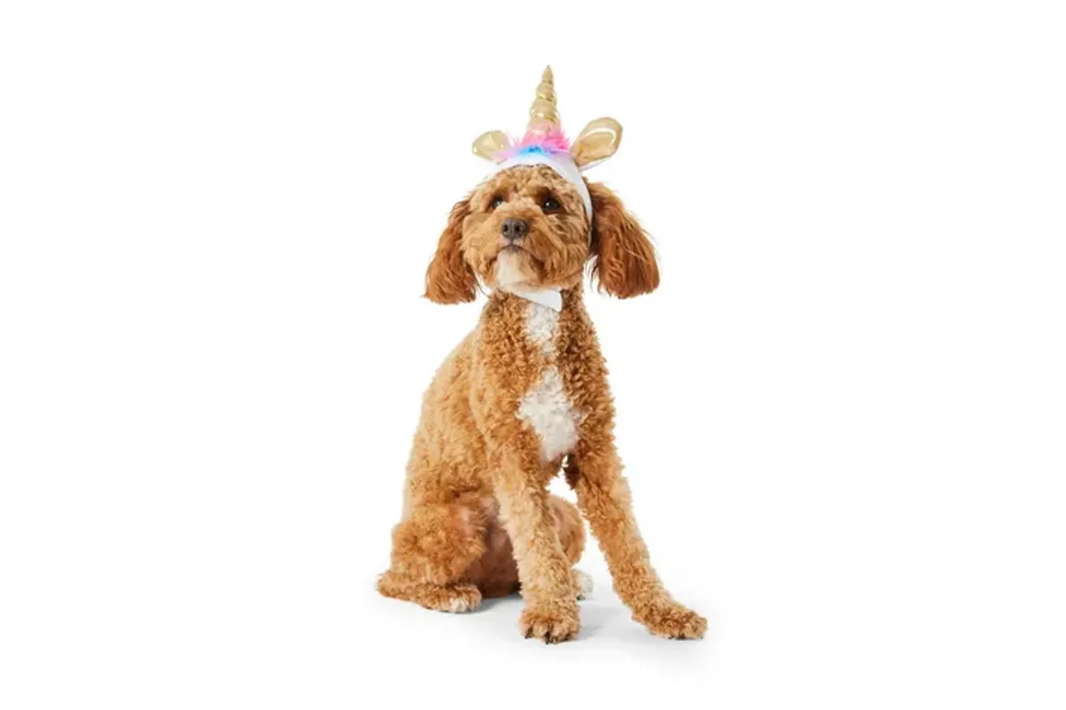 hallowen copstumes for pets