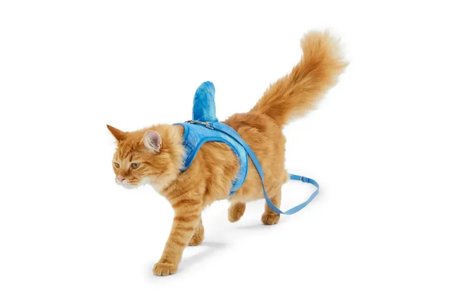 halloween costumes for cats petbarn
