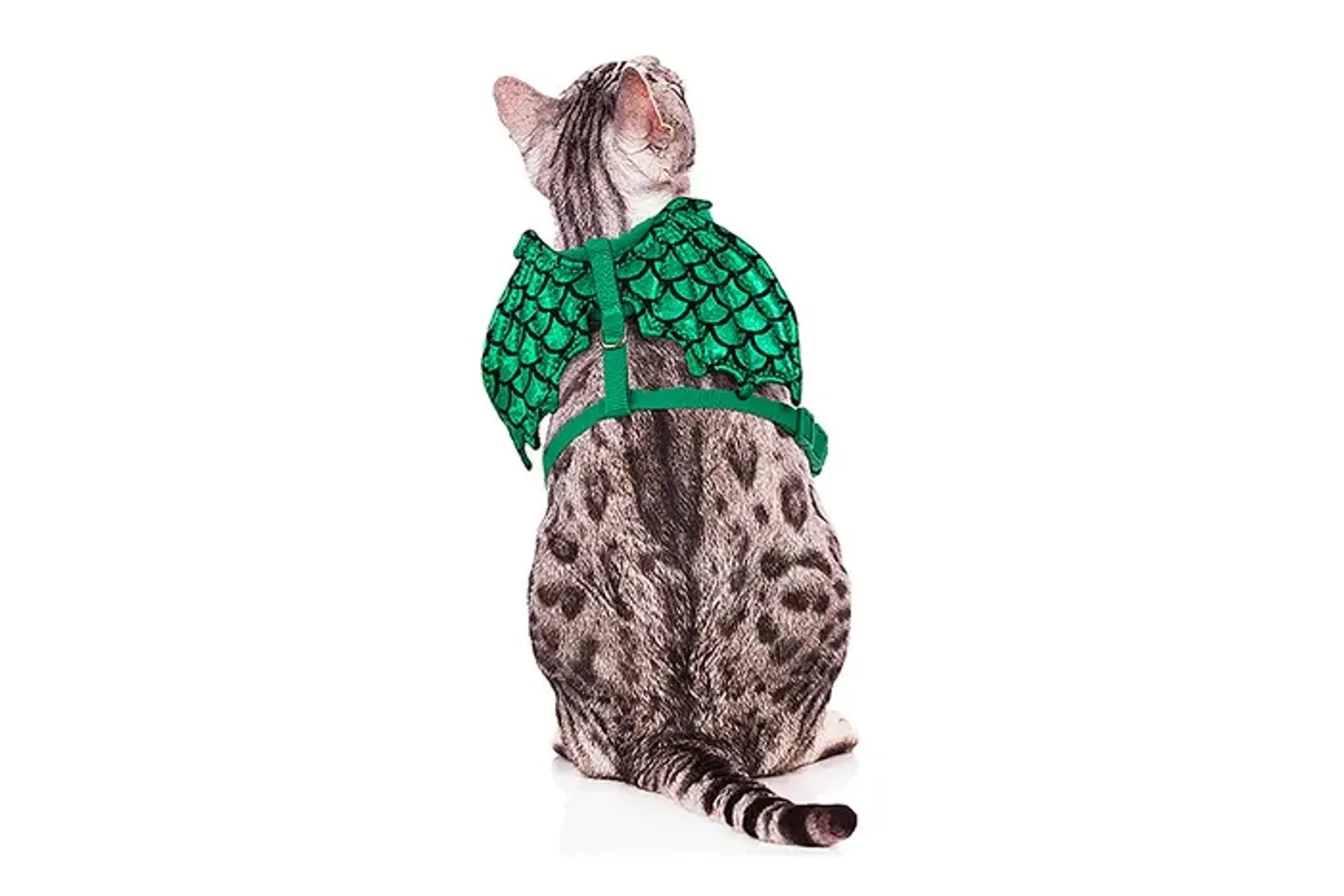 halloween costumes for cats