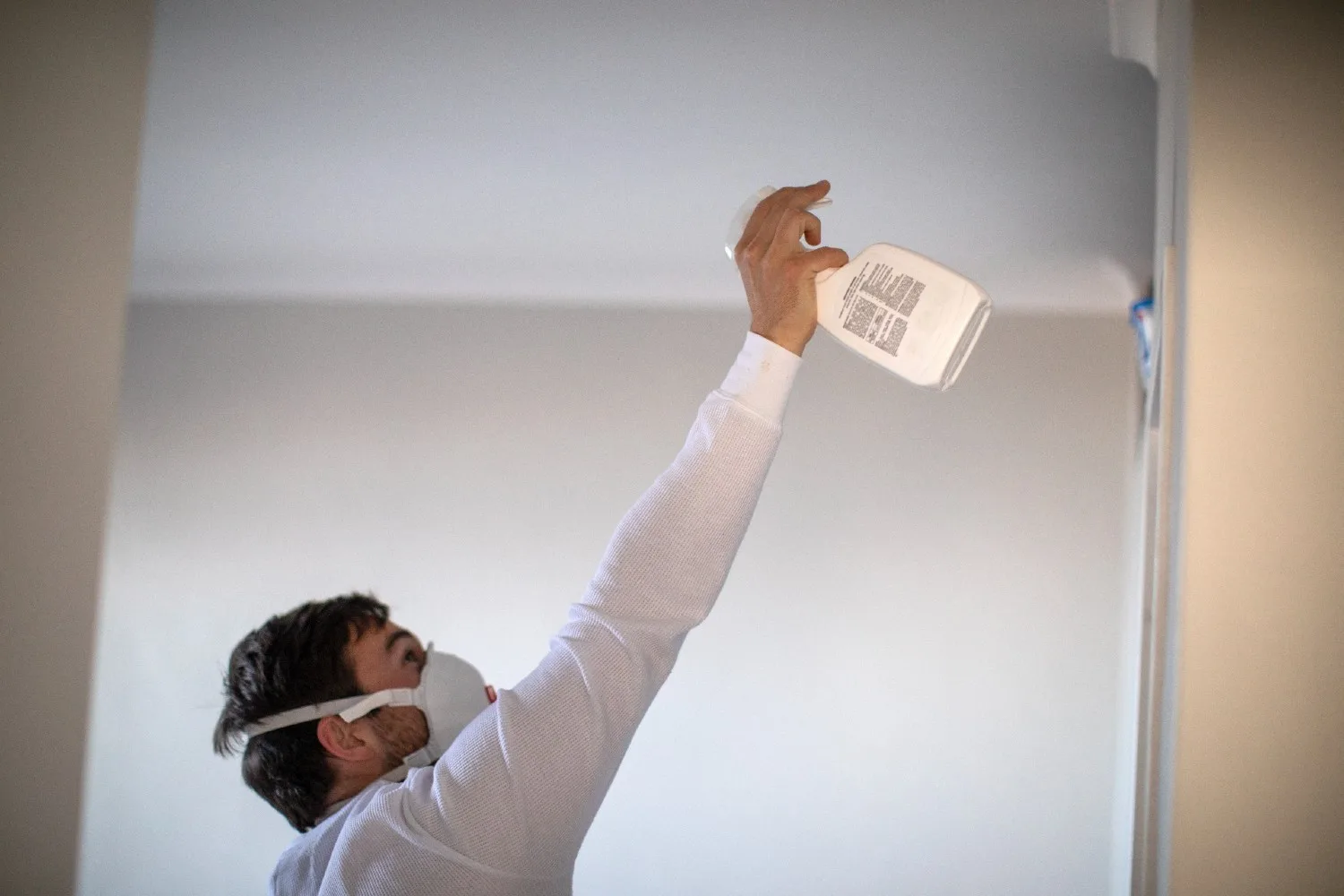 mould removal rental property