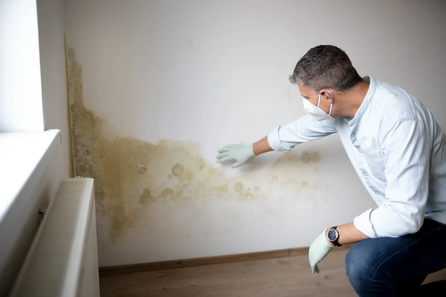 inspecting mould renter's rights
