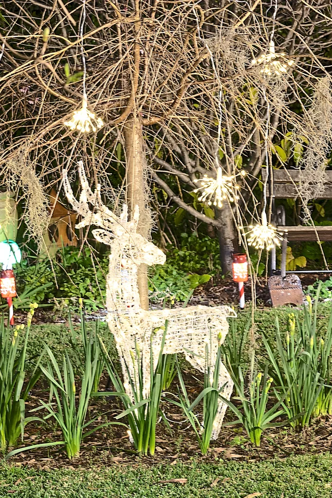 reindeer lights