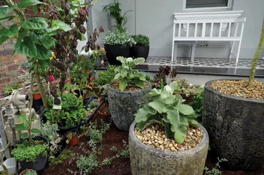 How to group potted plants together