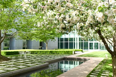 48 Hours in Canberra: Our top picks