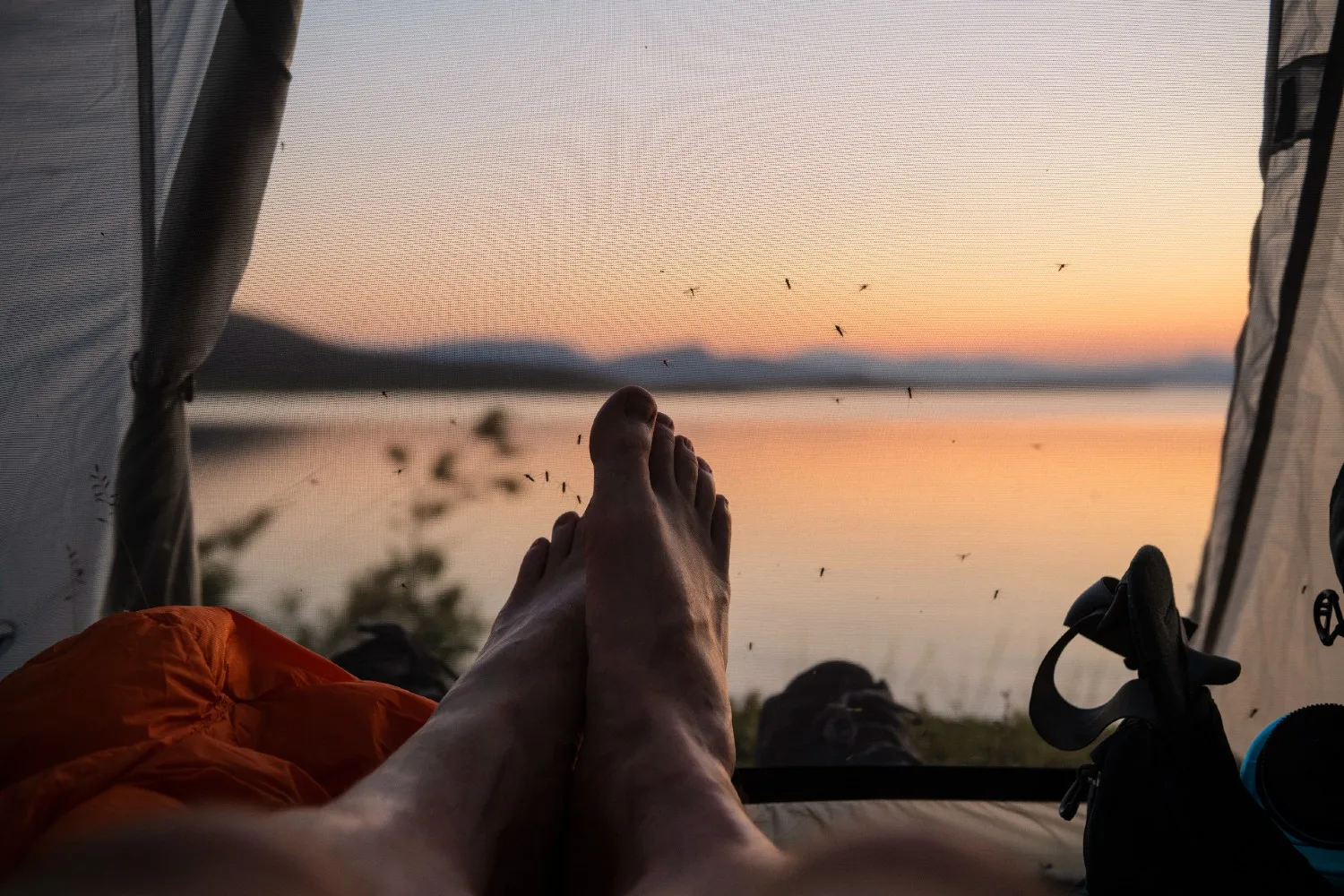 mosquito study why they like people more than others