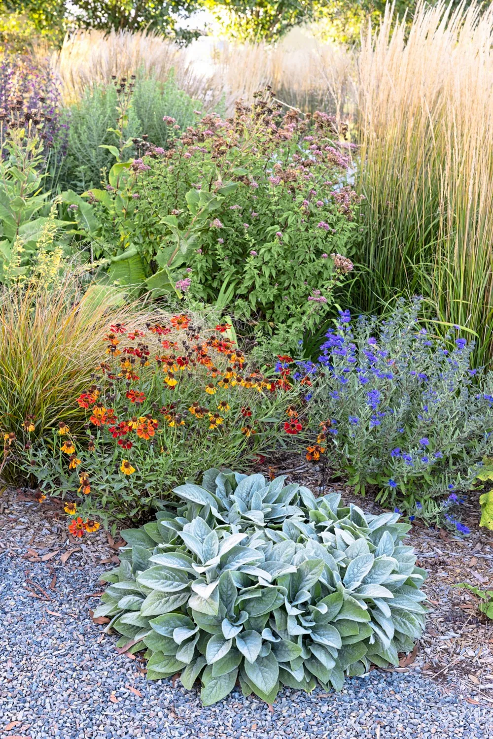 how to grow perennials