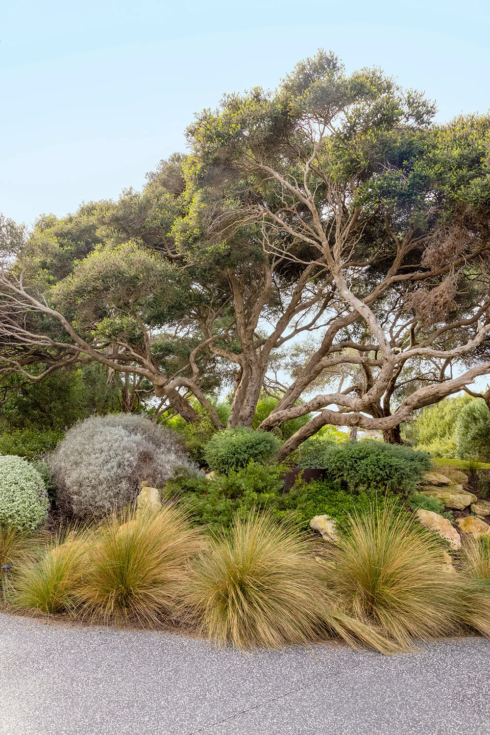 coastal garden