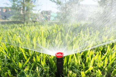5 ways to help your lawn survive on less water