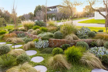 How to grow a coastal garden