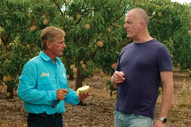 Fast Ed visits a mango farm