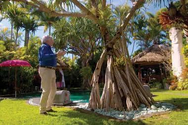 Graham visits tropical garden Taman Air