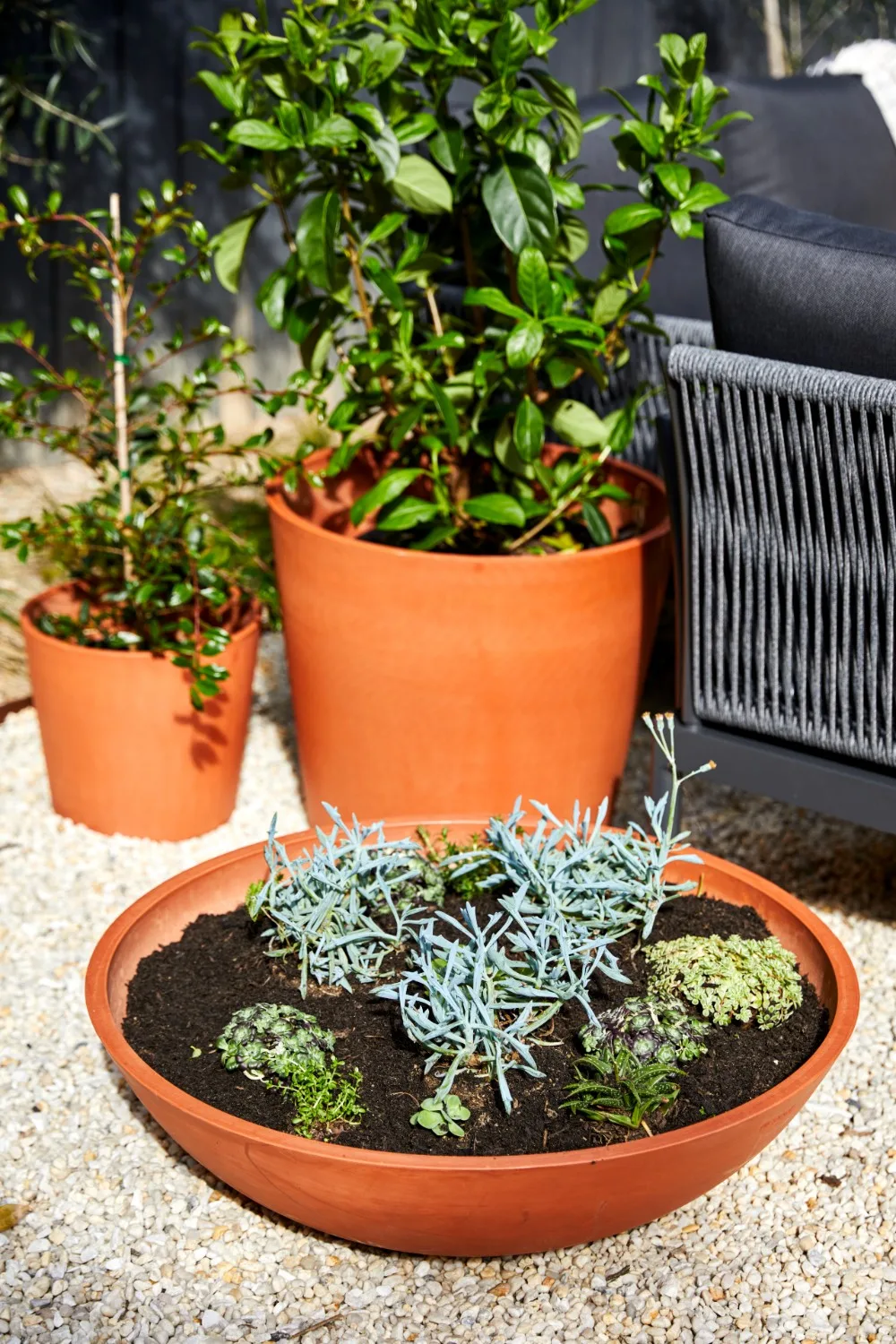 bunnings outdoor range terracotta pots