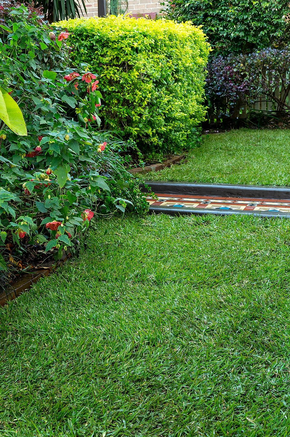 How often should you mow your lawn?