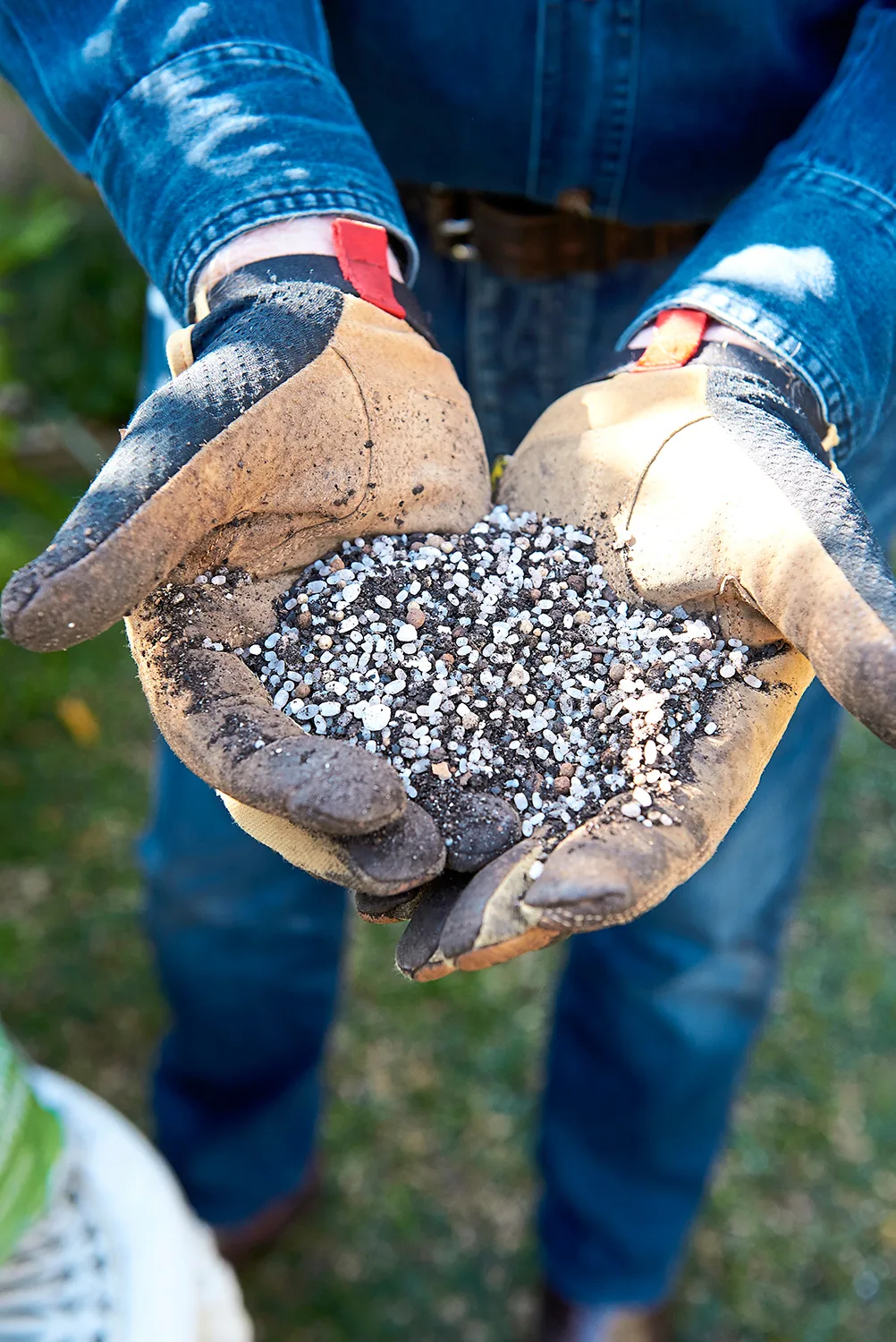 how to fix bare patches in lawn