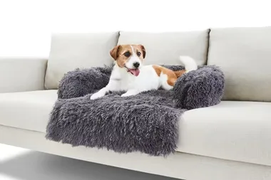 The Kmart dog bed your pup needs in their life