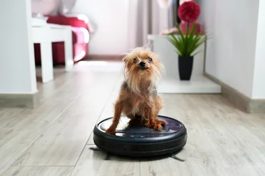 This game-changing robot vacuum will help look after your pets