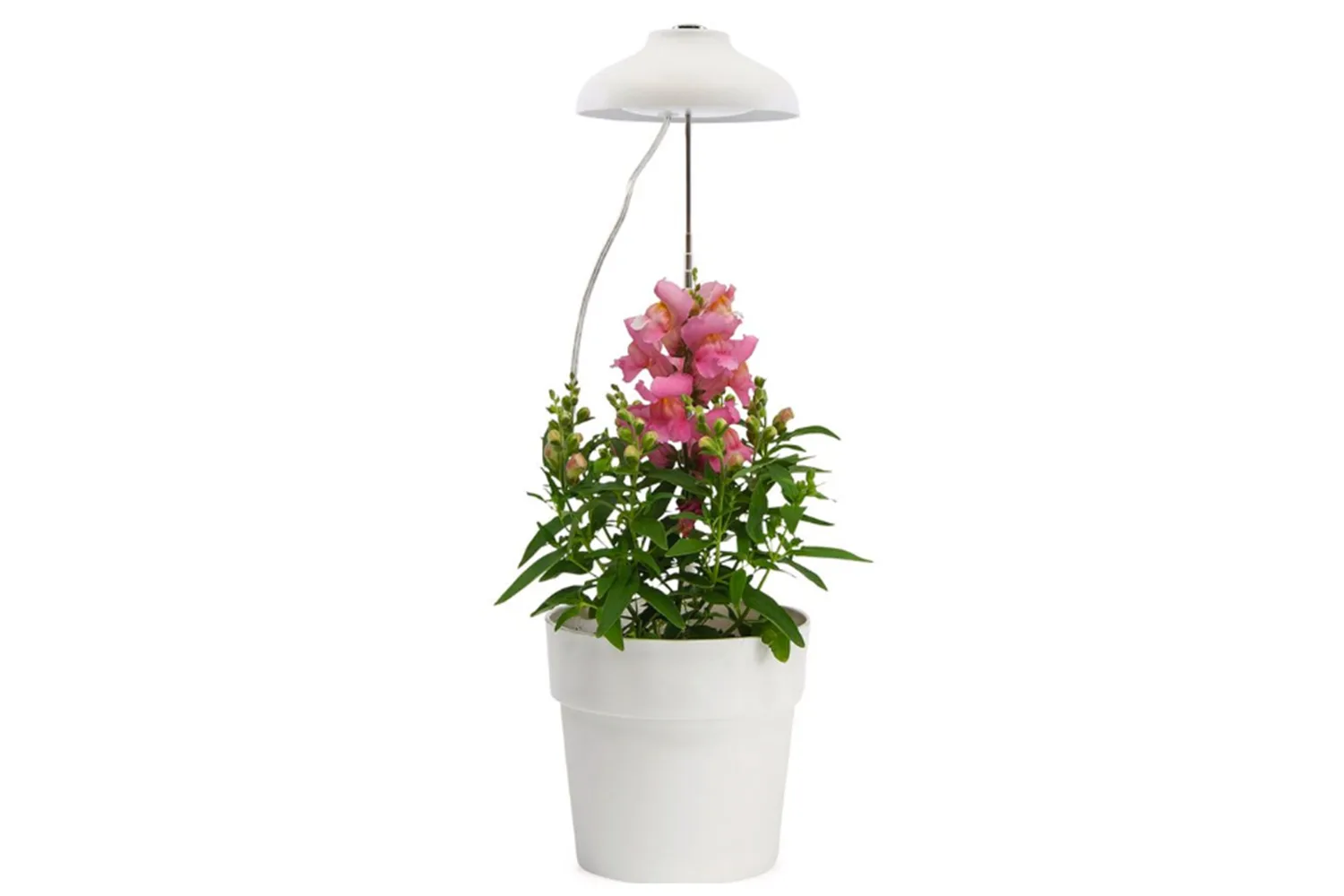 Home Grown Indoor Umbrella Grow Light Adjustable, $21.89, Bunnings