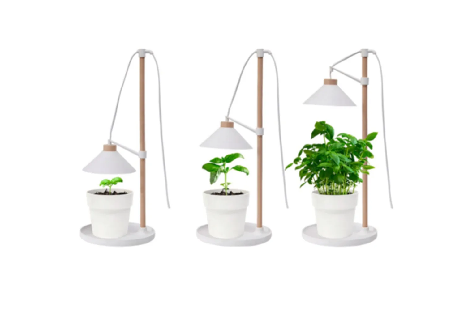 Home Grown Grow Table Lamp