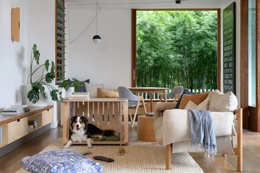 8 best dog crates to give your pup its own safe space