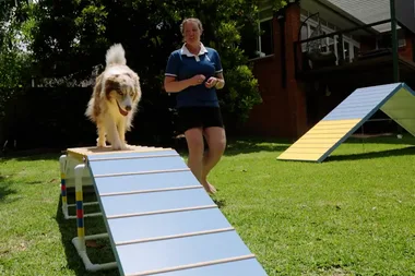 How to make a dog agility course