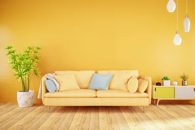 Small space? Why you should paint your wall the same colour as your door