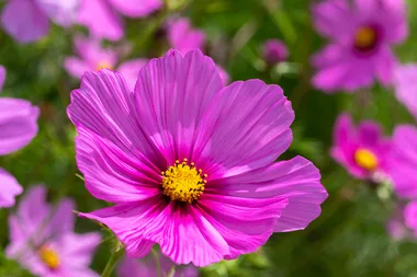 What to plant in December