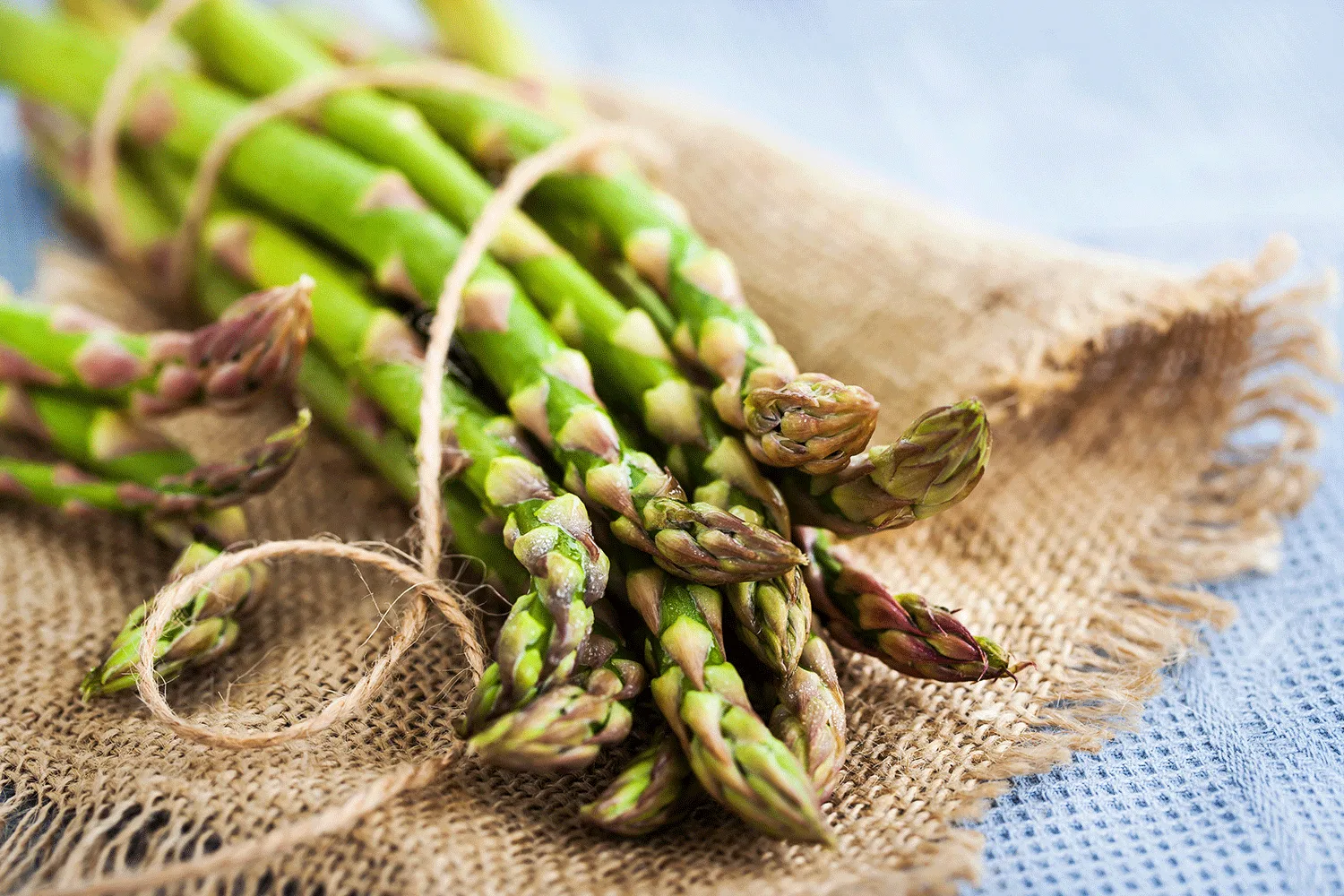 Asparagus