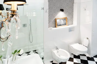 Toilet trend: Why the bathroom is the new living room