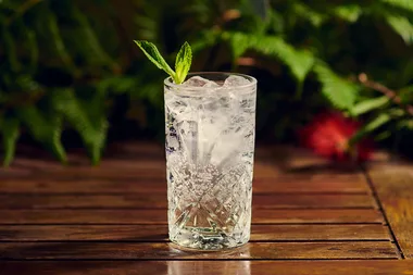Two Island Gin and Tonic