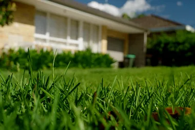 How to mow your lawn like an expert