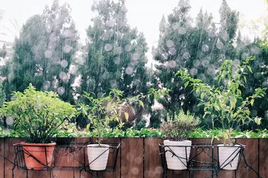 The money-saving garden trick trending in 2023