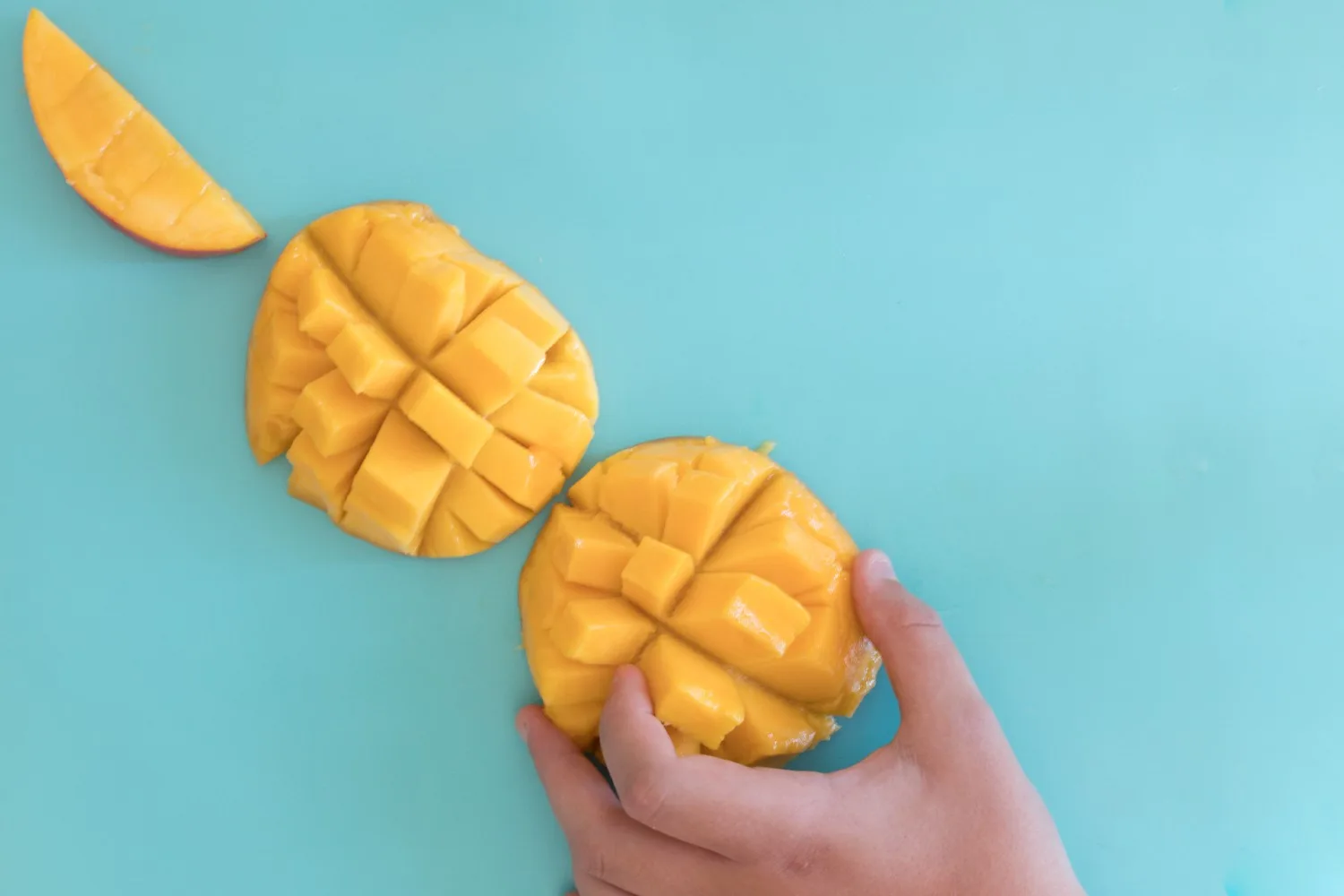 how to grow mango from seed