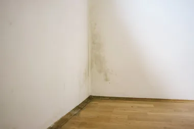Unlikely kitchen staple removes mould from walls – and stops it from coming back