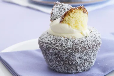 Lamington butterfly cakes