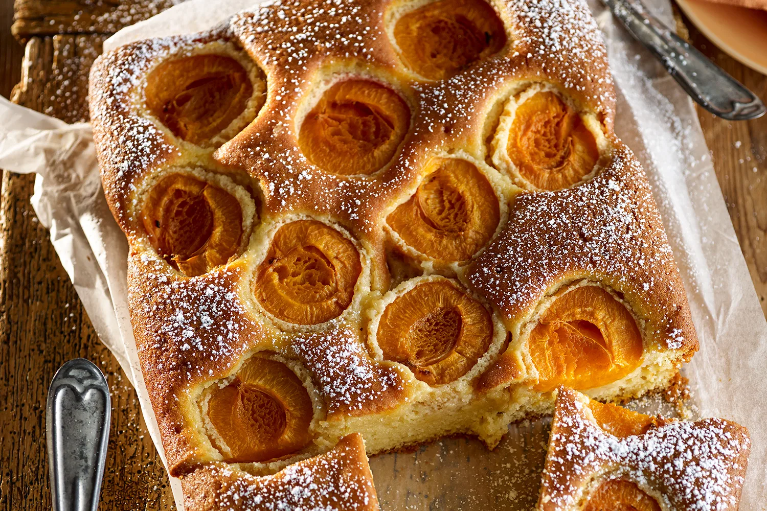 Apricot and olive oil slice