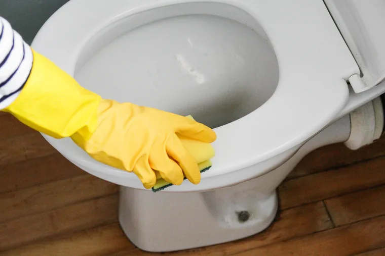 $5 supermarket buy easily cleans black toilet bowl stains