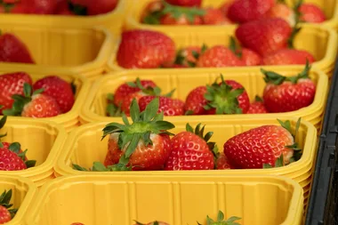There’s a new extra-sweet strawberry variety you must try to believe