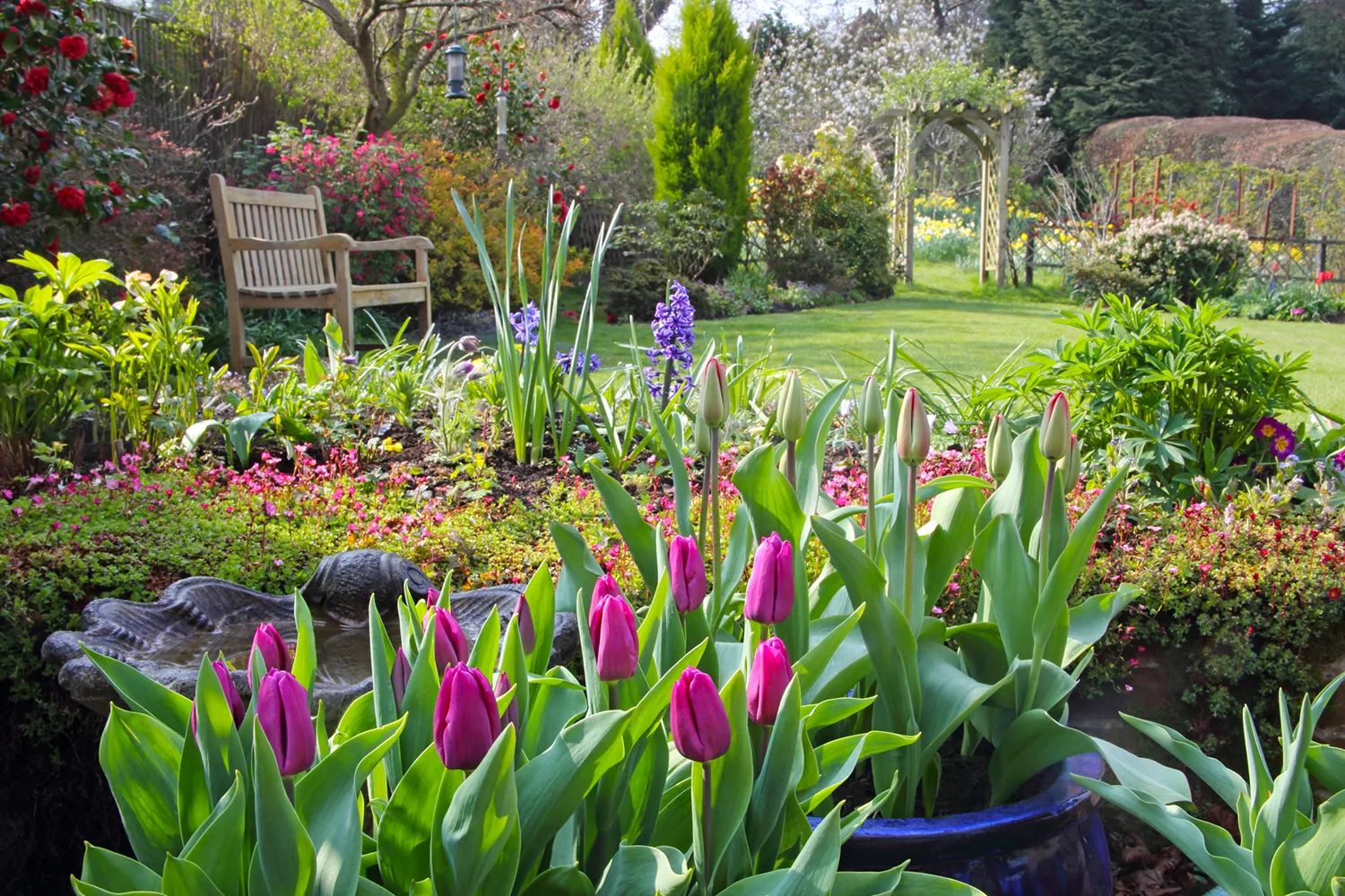 Relax in the courtyard and soak up the warmth as tulips emerge through the foliage of your garden.