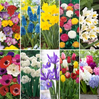 Mega Gardener’s Favourite Collection – BHG Exclusive